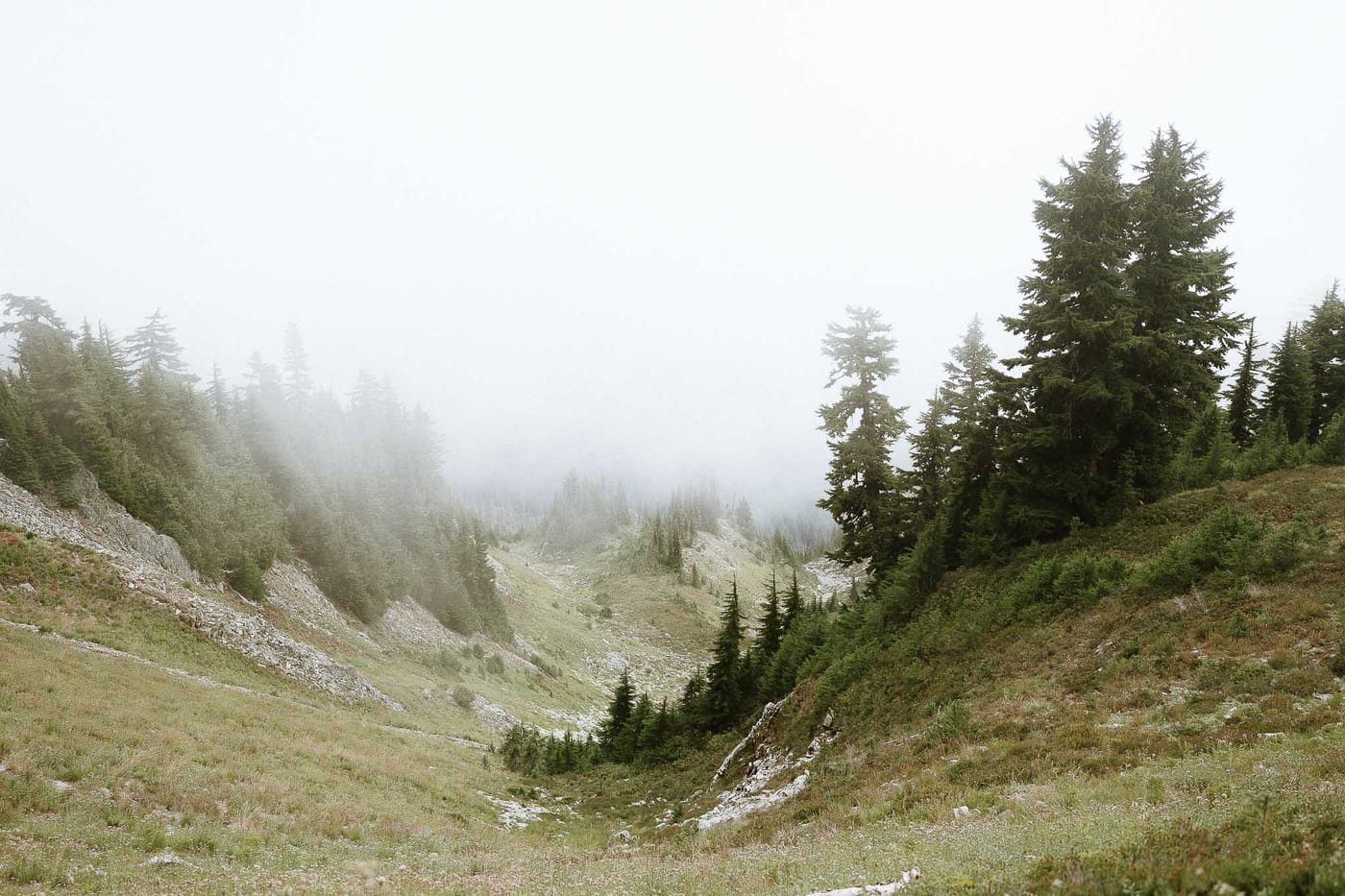 ALEX AND CHORUS (Couple photoshoot at Mount Rainier Washington, USA)