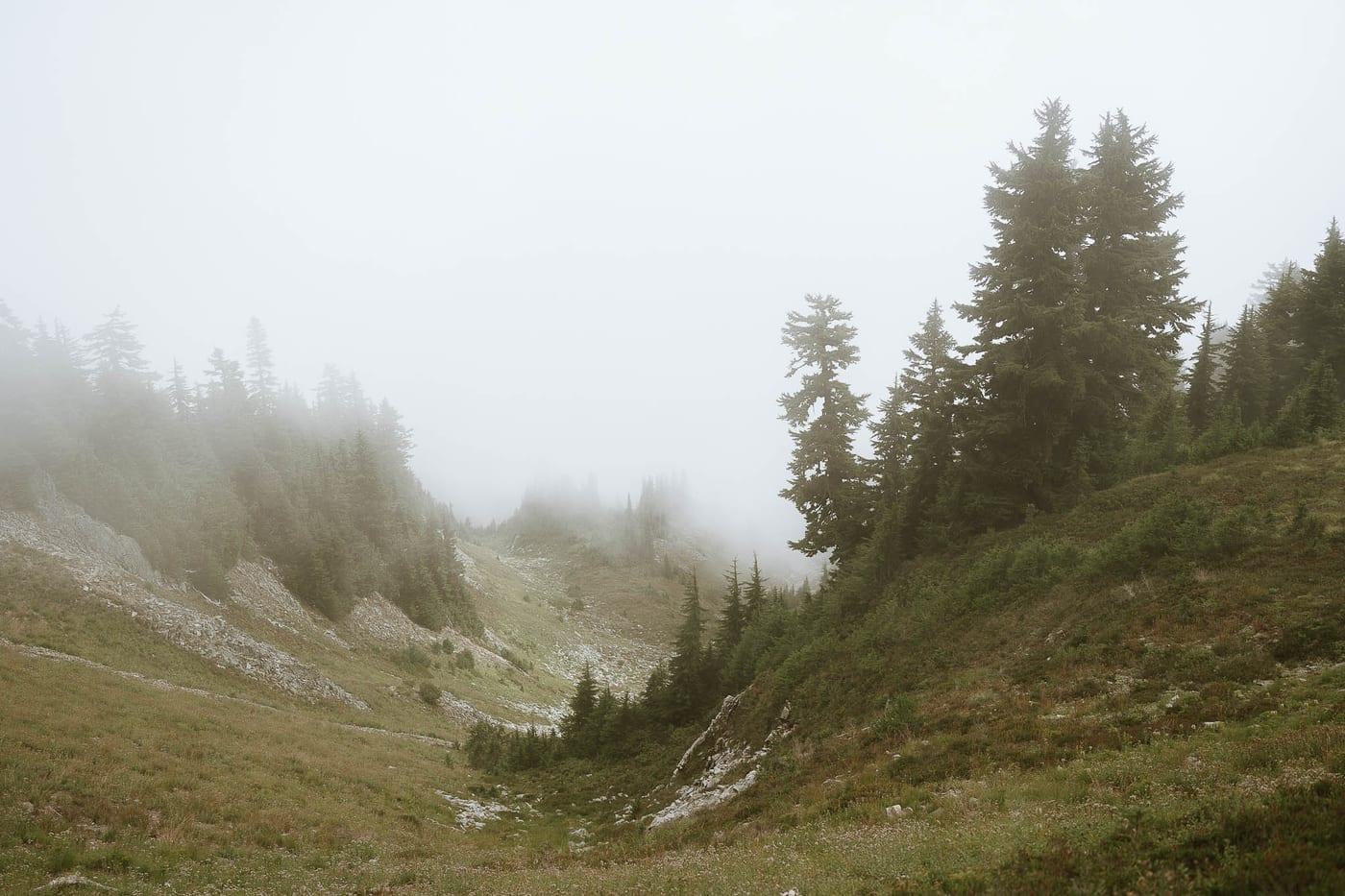 ALEX AND CHORUS (Couple photoshoot at Mount Rainier Washington, USA)