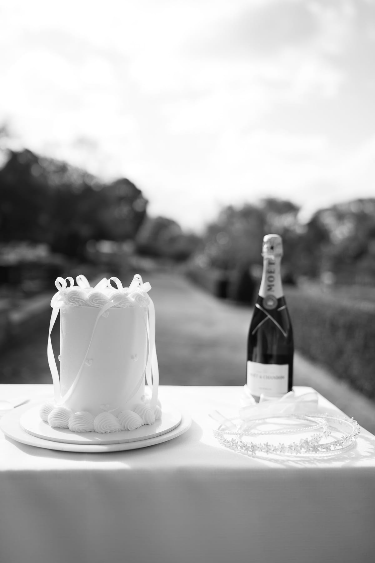 LAURA AND CHRIS (Elopement wedding at the Royal botanical gardens and Opera house Sydney)