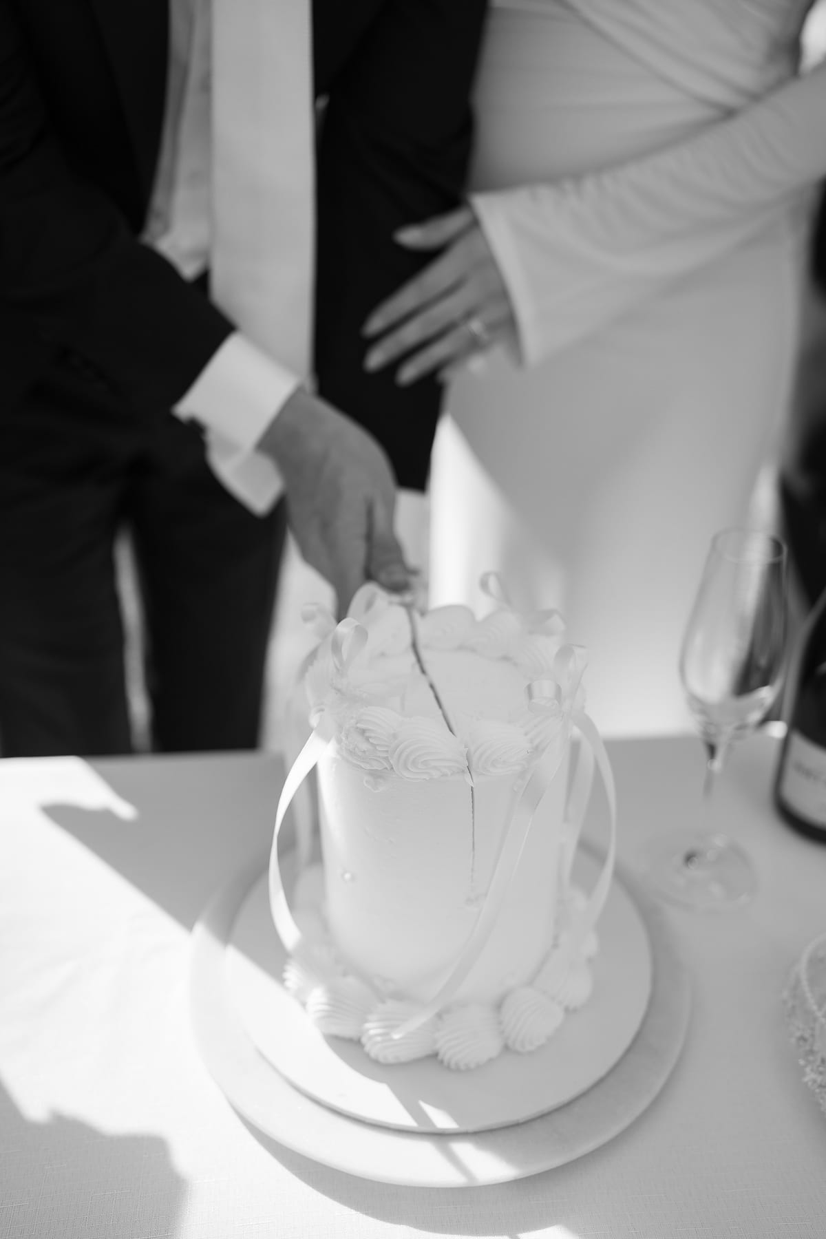 LAURA AND CHRIS (Elopement wedding at the Royal botanical gardens and Opera house Sydney)