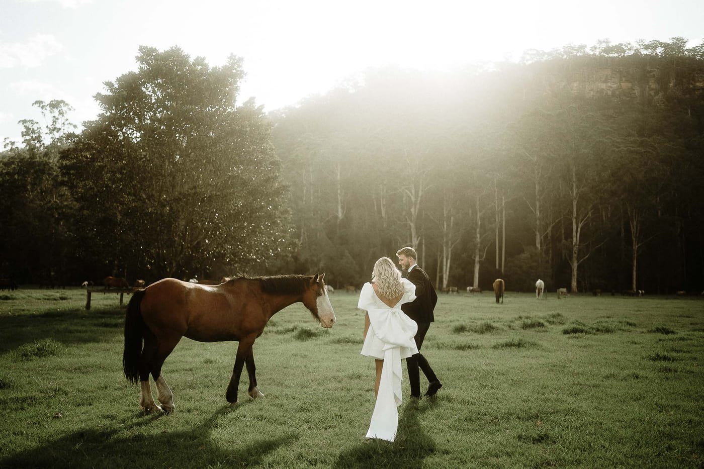 HEATH AND AMIKA (Luxury Elopment at Glenworth valley)