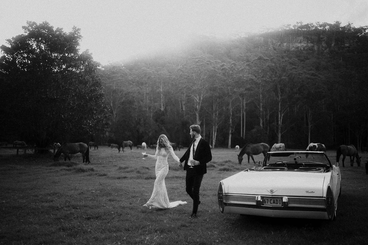 HEATH AND AMIKA (Luxury Elopment at Glenworth valley)