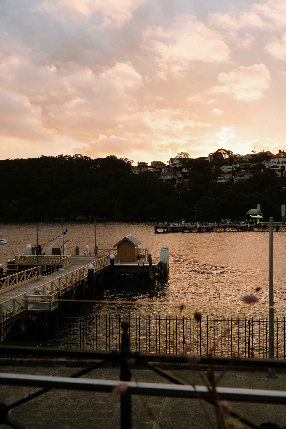 KWAME AND ELISE (Sunset Wedding Reception at Ripples Chowder Bay Sydney)