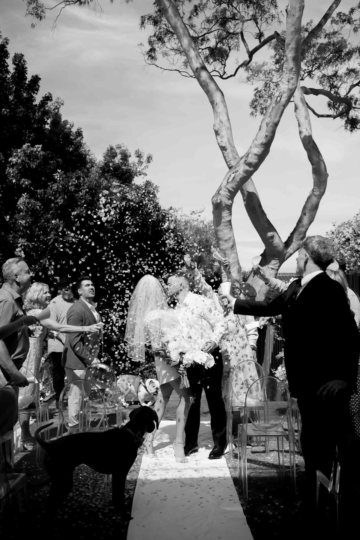 David & Charlotte's Intimate Clovelly Beach Wedding Photography