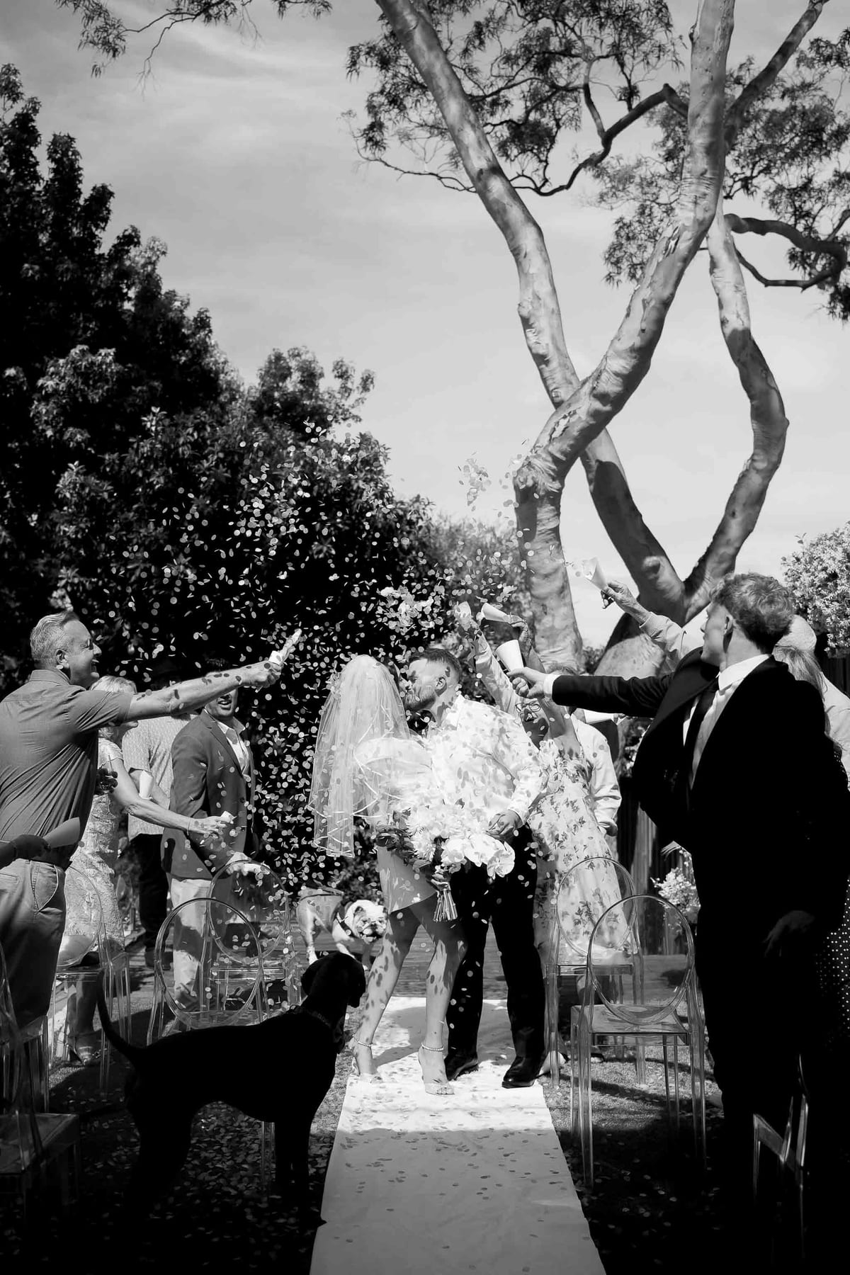 David & Charlotte's Intimate Clovelly Beach Wedding Photography