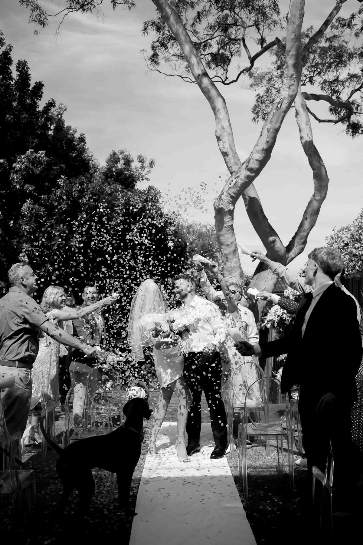 David & Charlotte's Intimate Clovelly Beach Wedding Photography