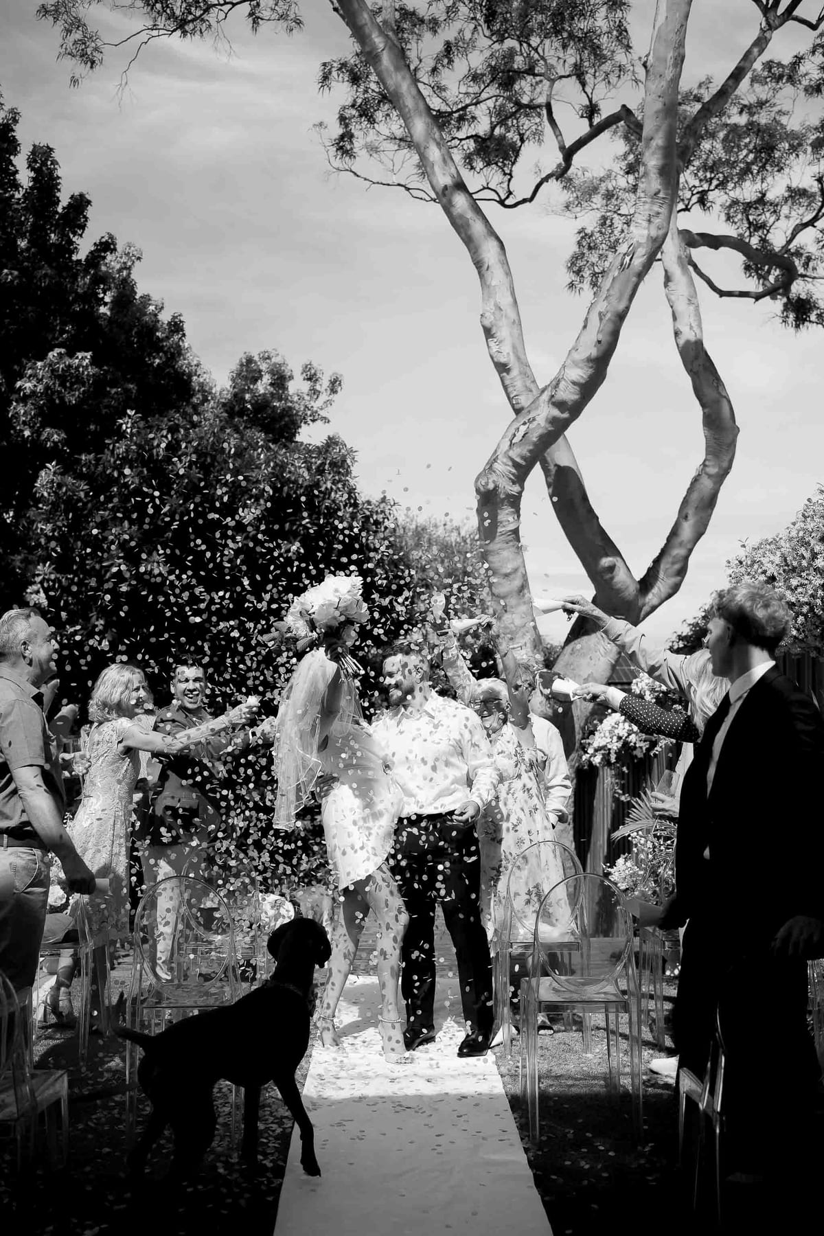 David & Charlotte's Intimate Clovelly Beach Wedding Photography