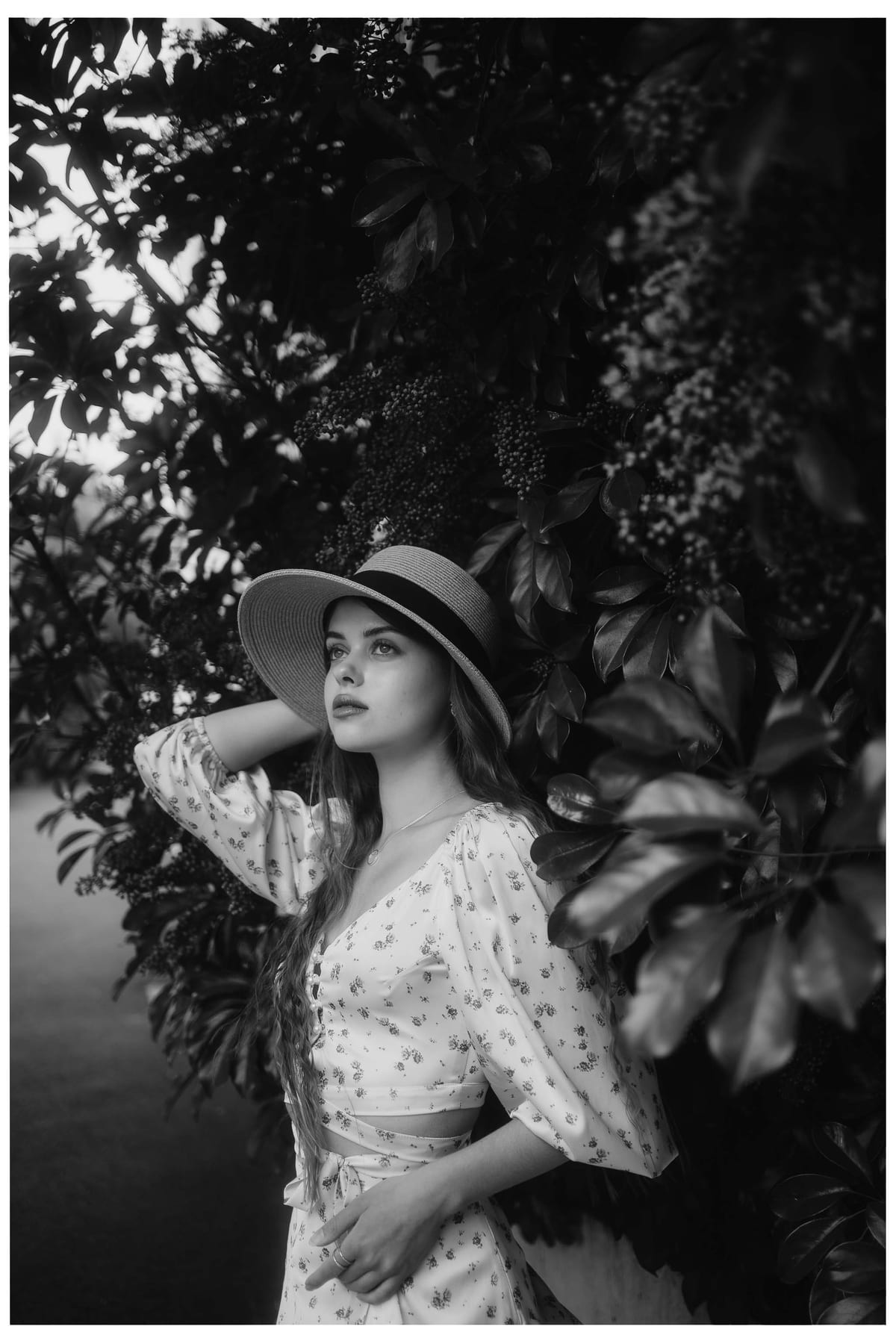 Alice in Wonderland Inspired Photoshoot with Daria | Centennial Park & Sydney Eastern Suburbs Photography