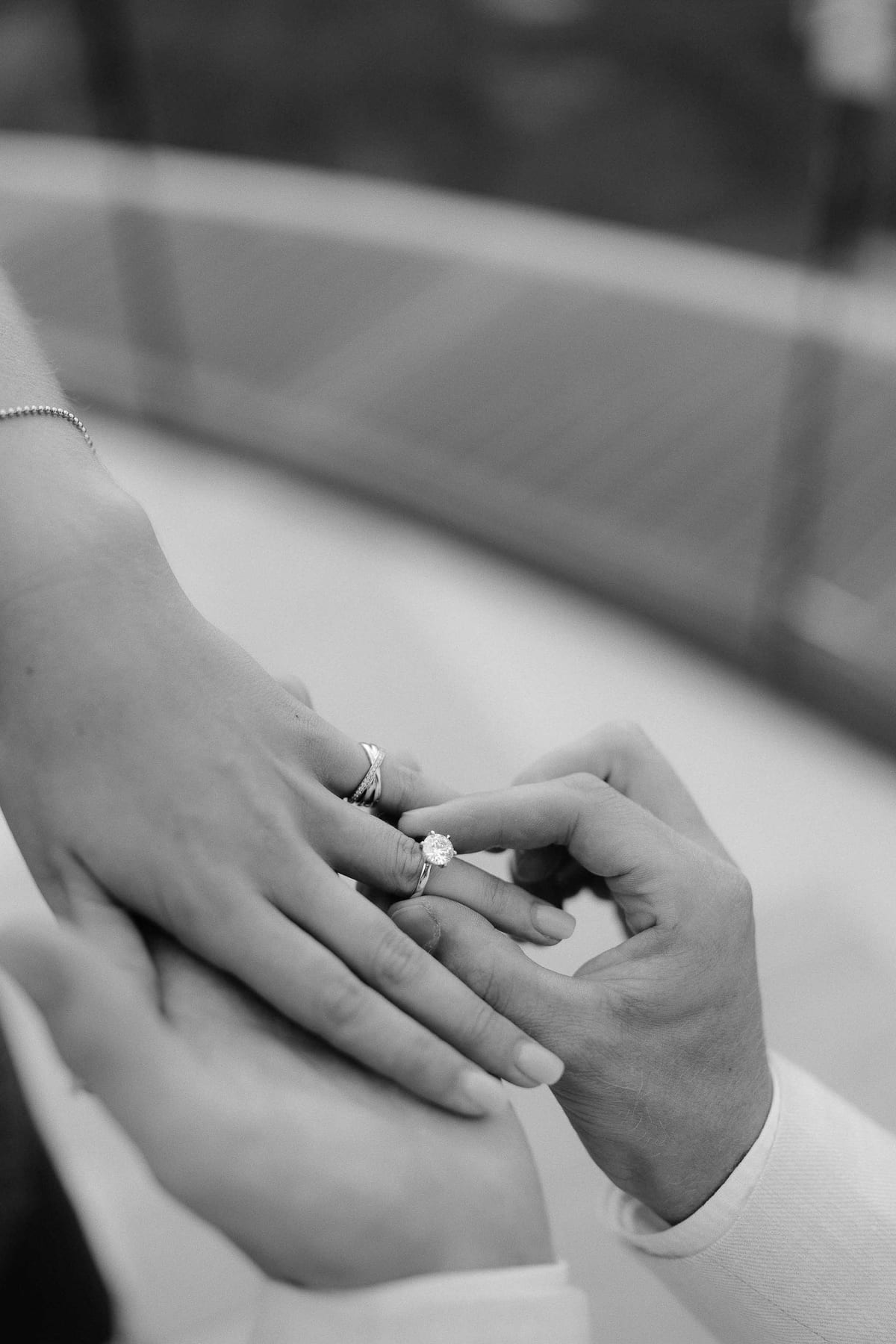 Andrew and Edwina's Surprise Proposal at Taronga Zoo Rooftop | Sydney Proposal Photography
