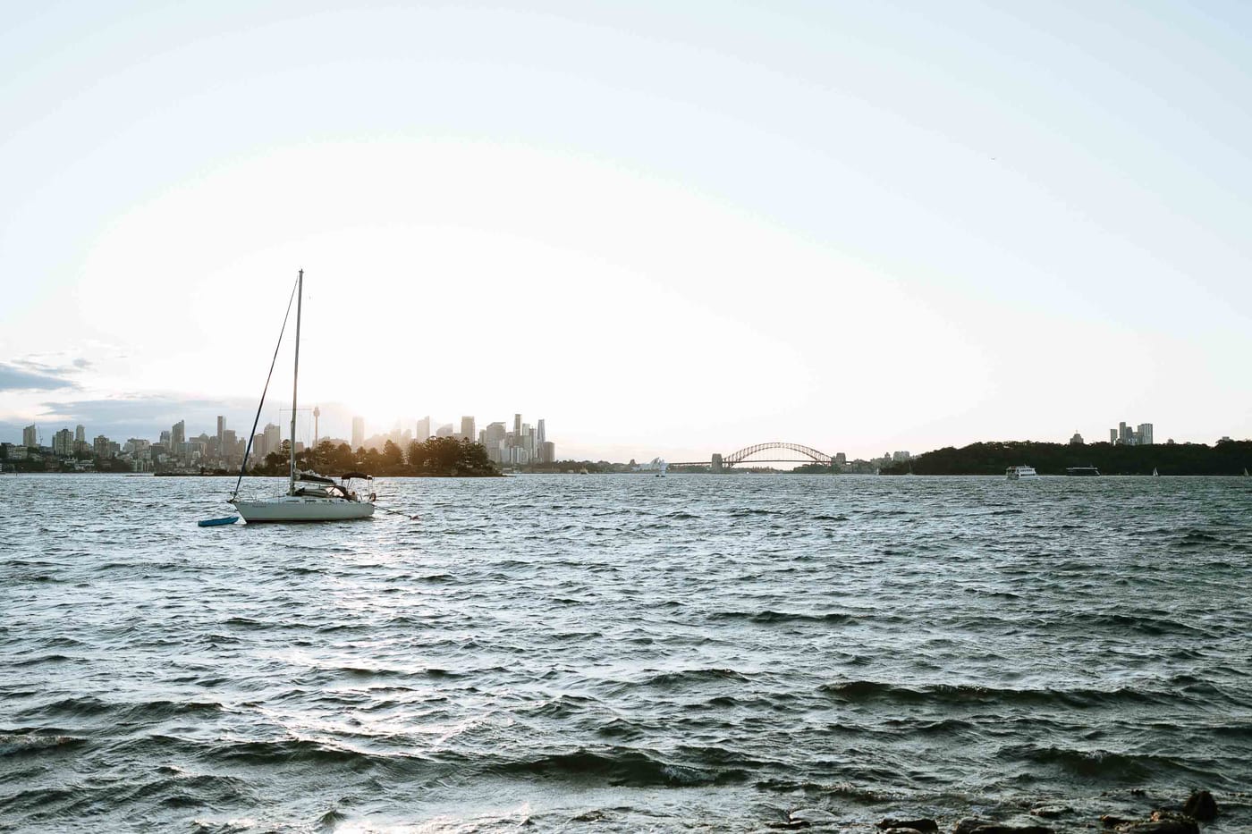 Alex’s Surprise Proposal at Milk Beach | Sydney Harbour Couples Photography