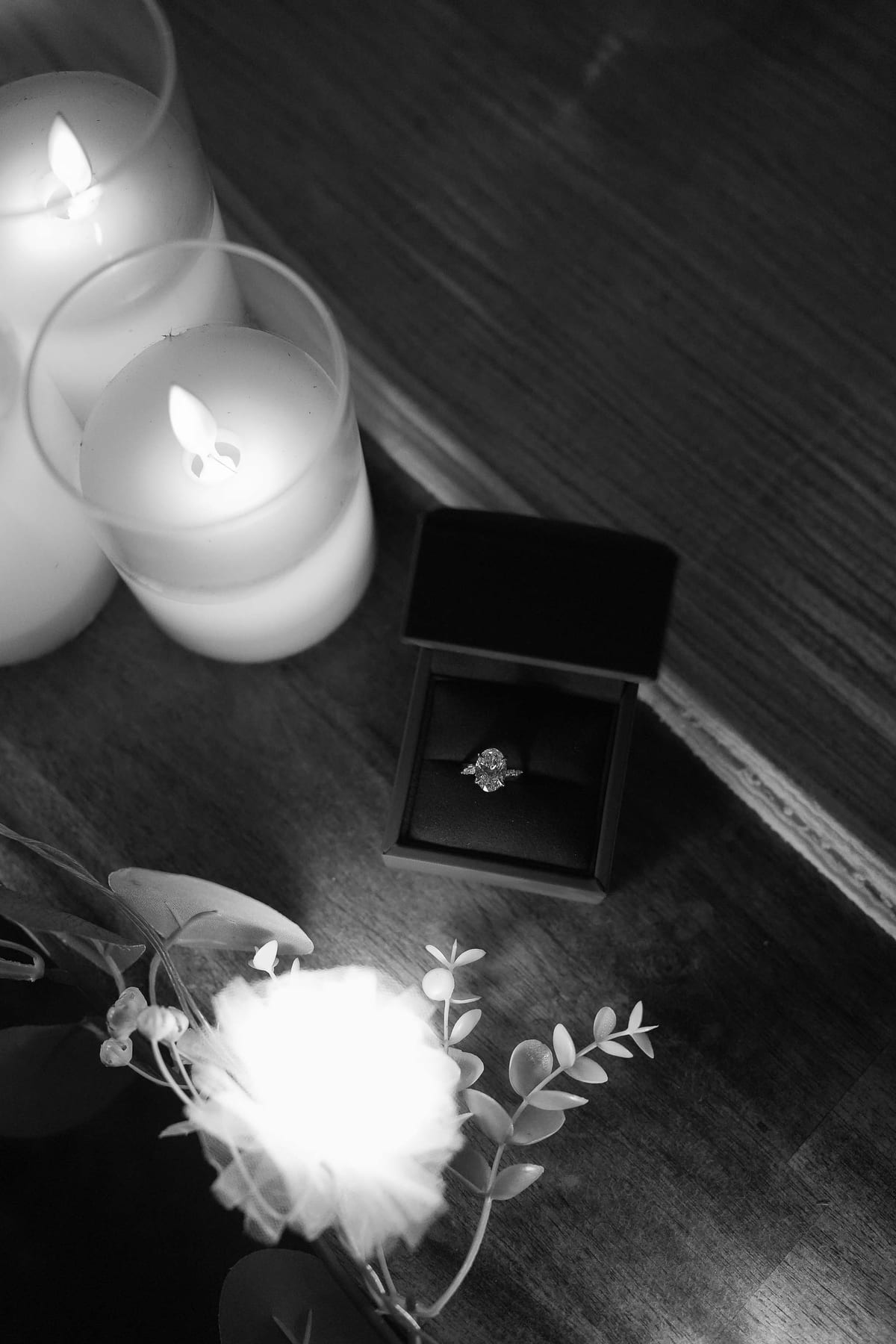 Dylan’s Surprise Proposal at Observatory Hill | Sydney Harbour Engagement Photography