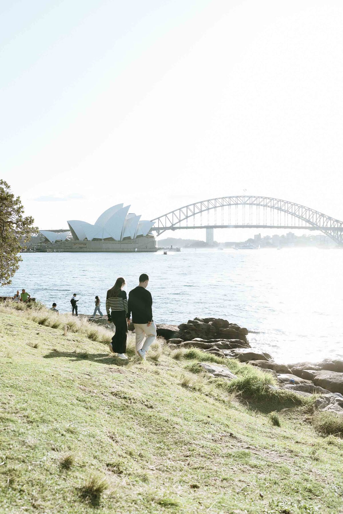 Josh and Abi’s Proposal at Mrs Macquarie’s Chair | Sydney Harbour Engagement Photography