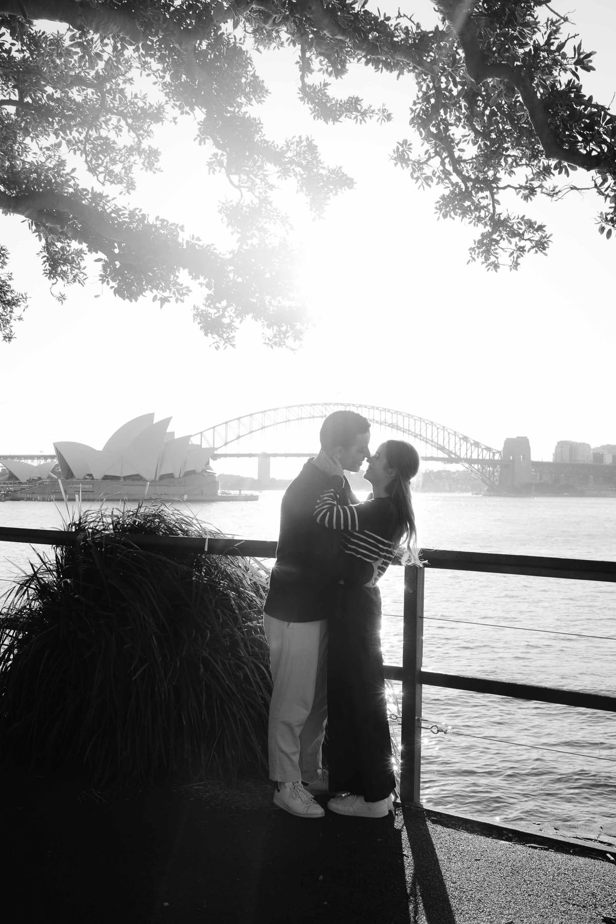 Josh and Abi’s Proposal at Mrs Macquarie’s Chair | Sydney Harbour Engagement Photography