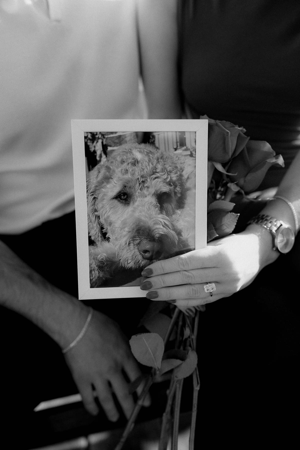 Kurtis and Casey’s Surprise Proposal at Park Hyatt Sydney | Sydney Opera House Engagement Photography
