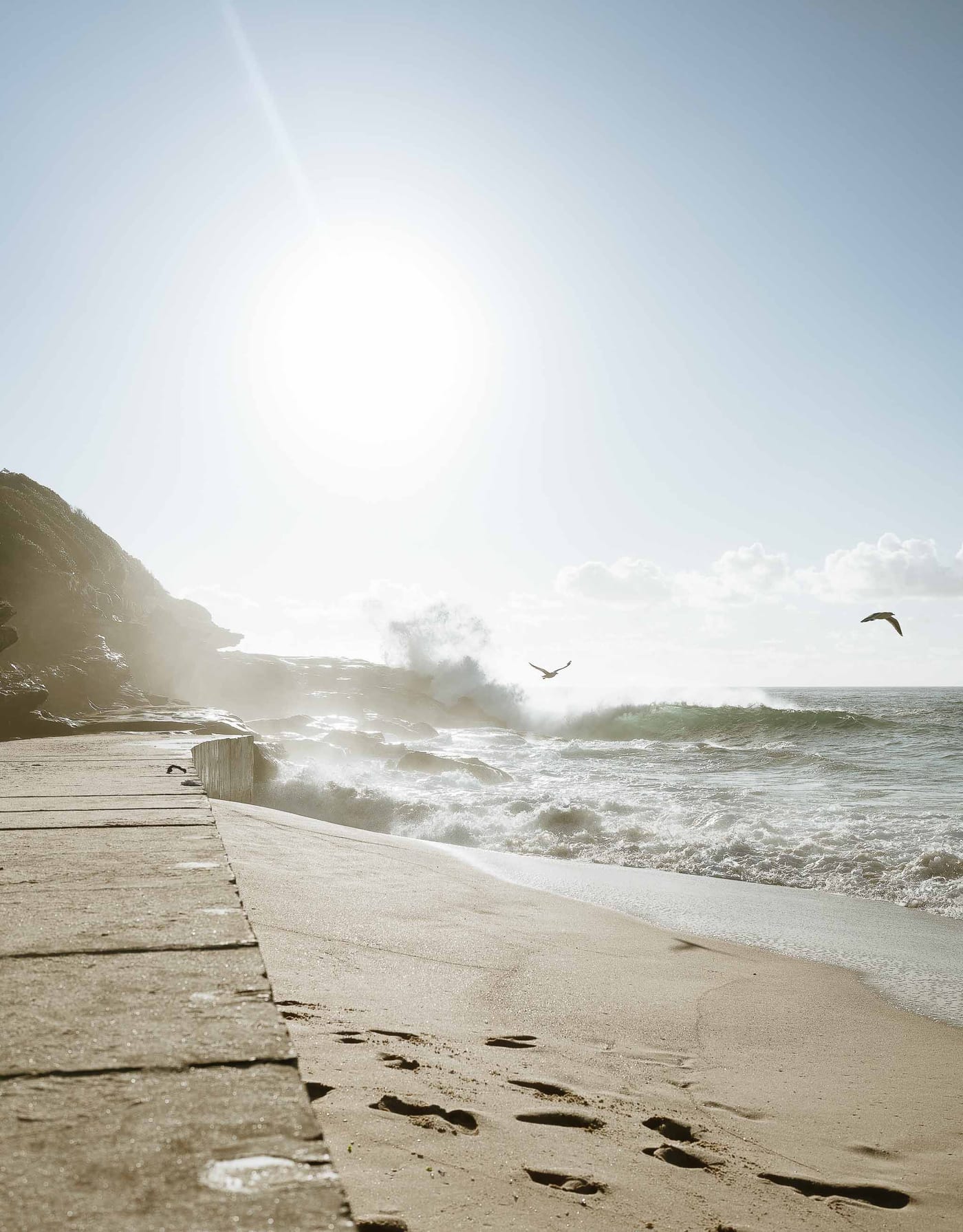 Kwame and Elise’s Surprise Proposal at Bronte Beach | Sydney Coastal Engagement Photography