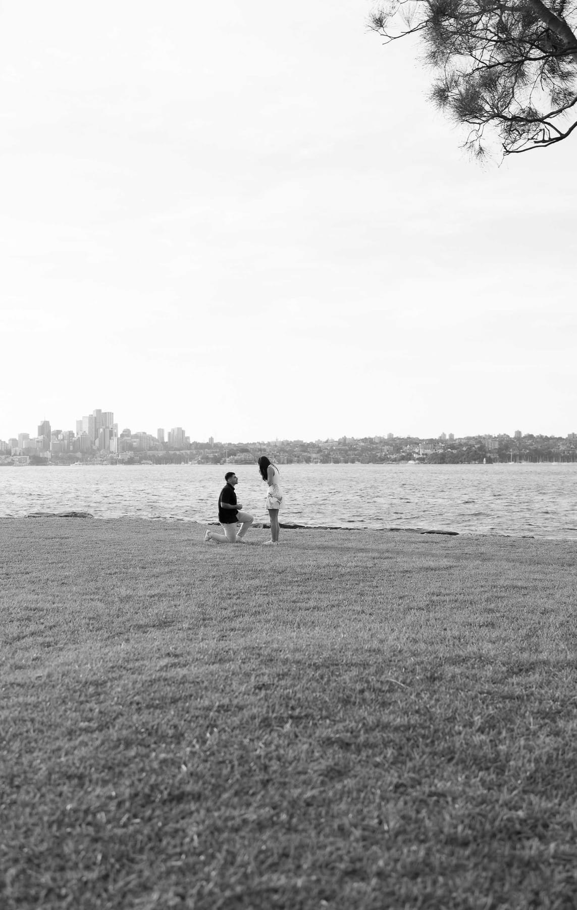 Youhan and Sydney’s Private Proposal at Clark Island | Sydney Harbour Engagement Photography