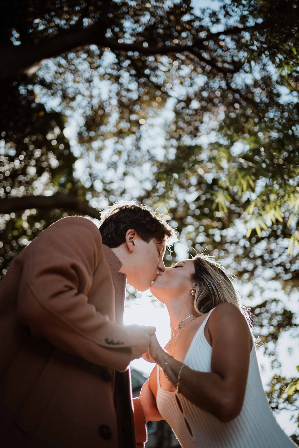 Rhys and Stephanie's Proposal at Wendy Whiteley's Secret Garden | Sydney Engagement Photography