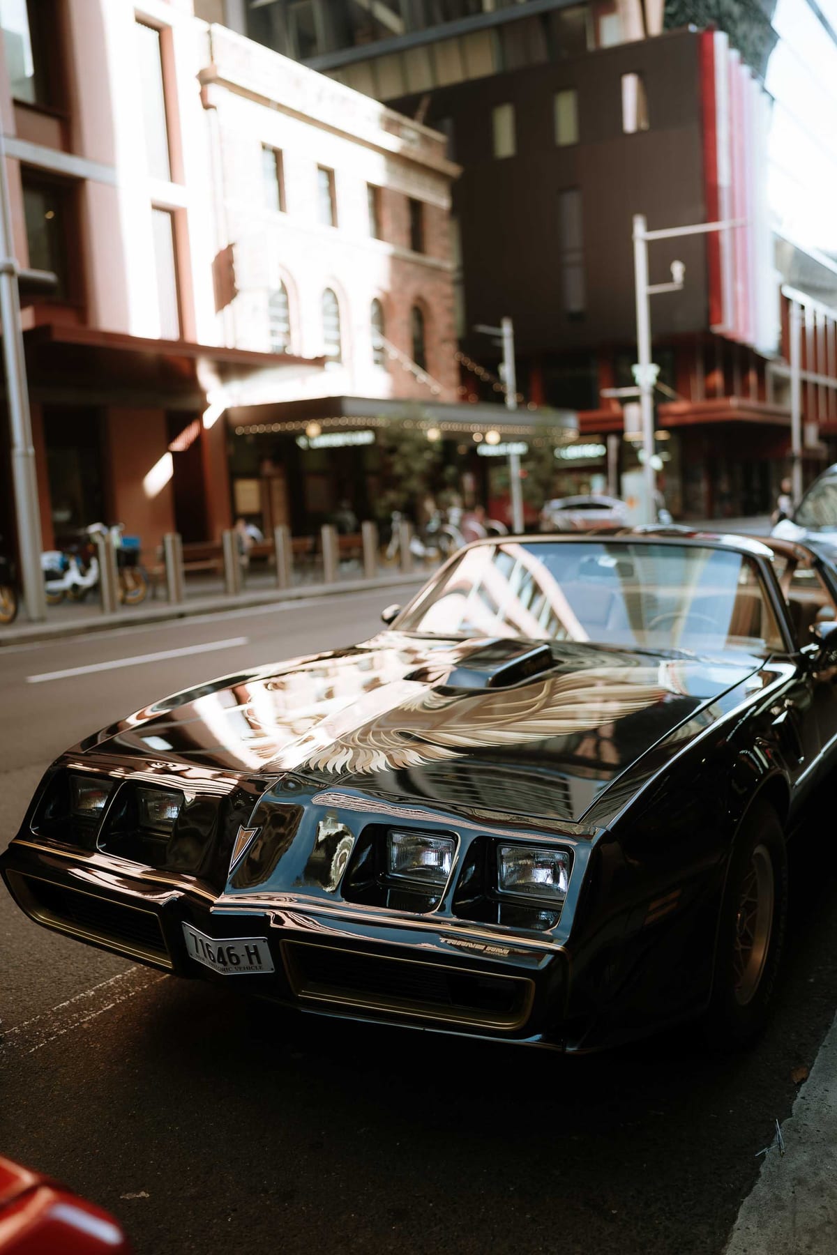 Hayden and Emma's Sydney Wedding Featuring Vintage Cars and Reception at Tanuki Restaurant