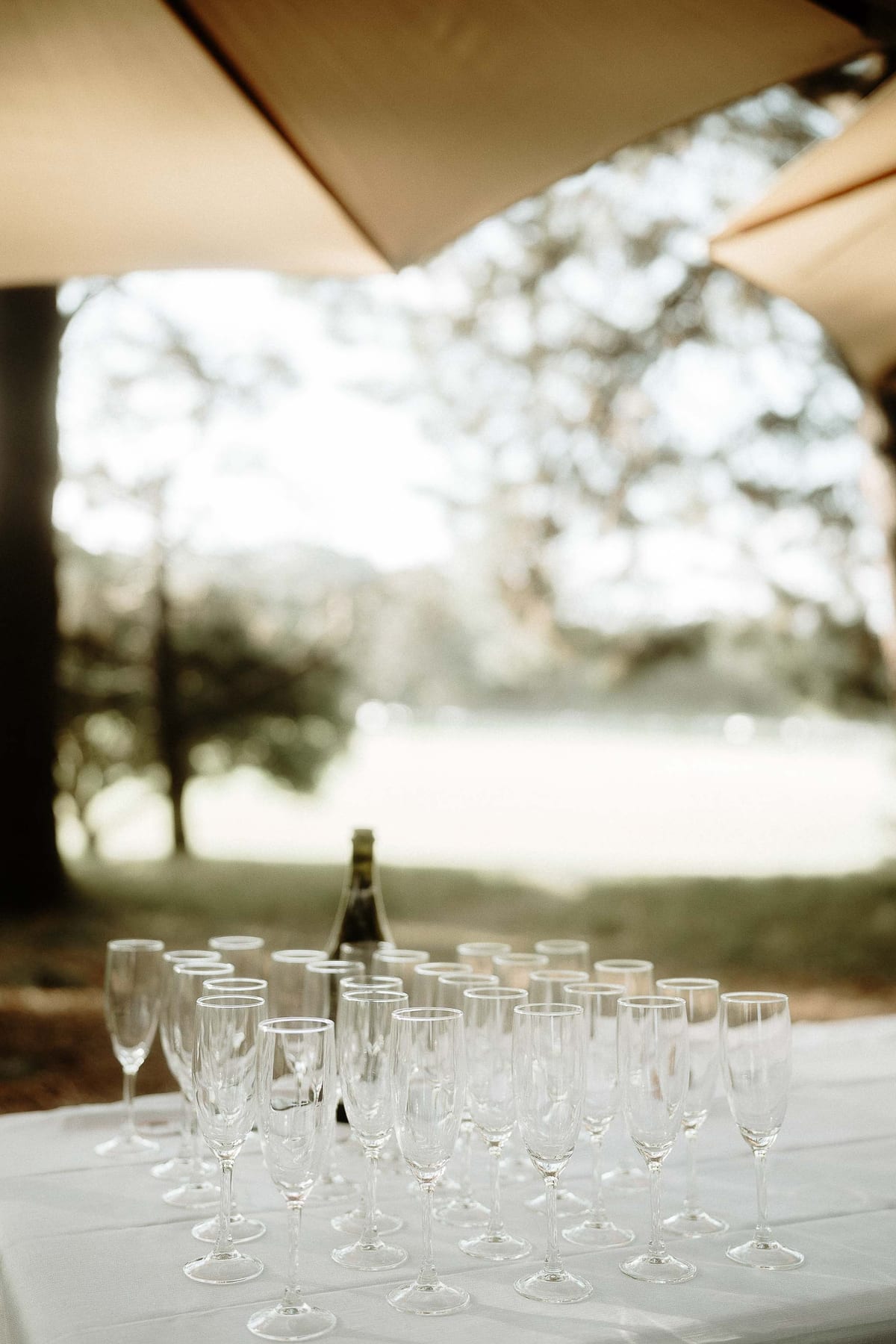 Luke and Rachel's Luxury Celebrity Wedding at Centennial Park Sydney