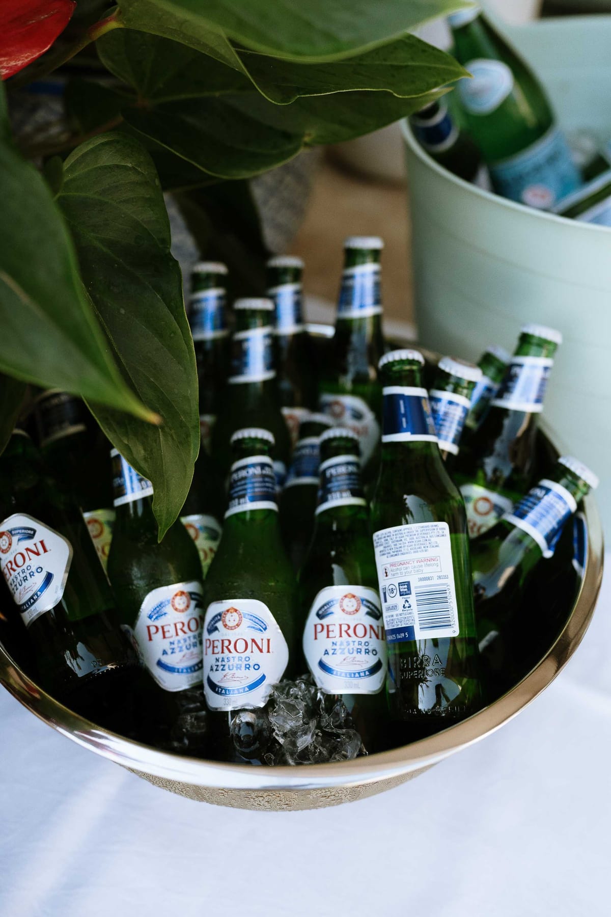 Joel and Maudy's Intimate Garden Wedding in North Sydney