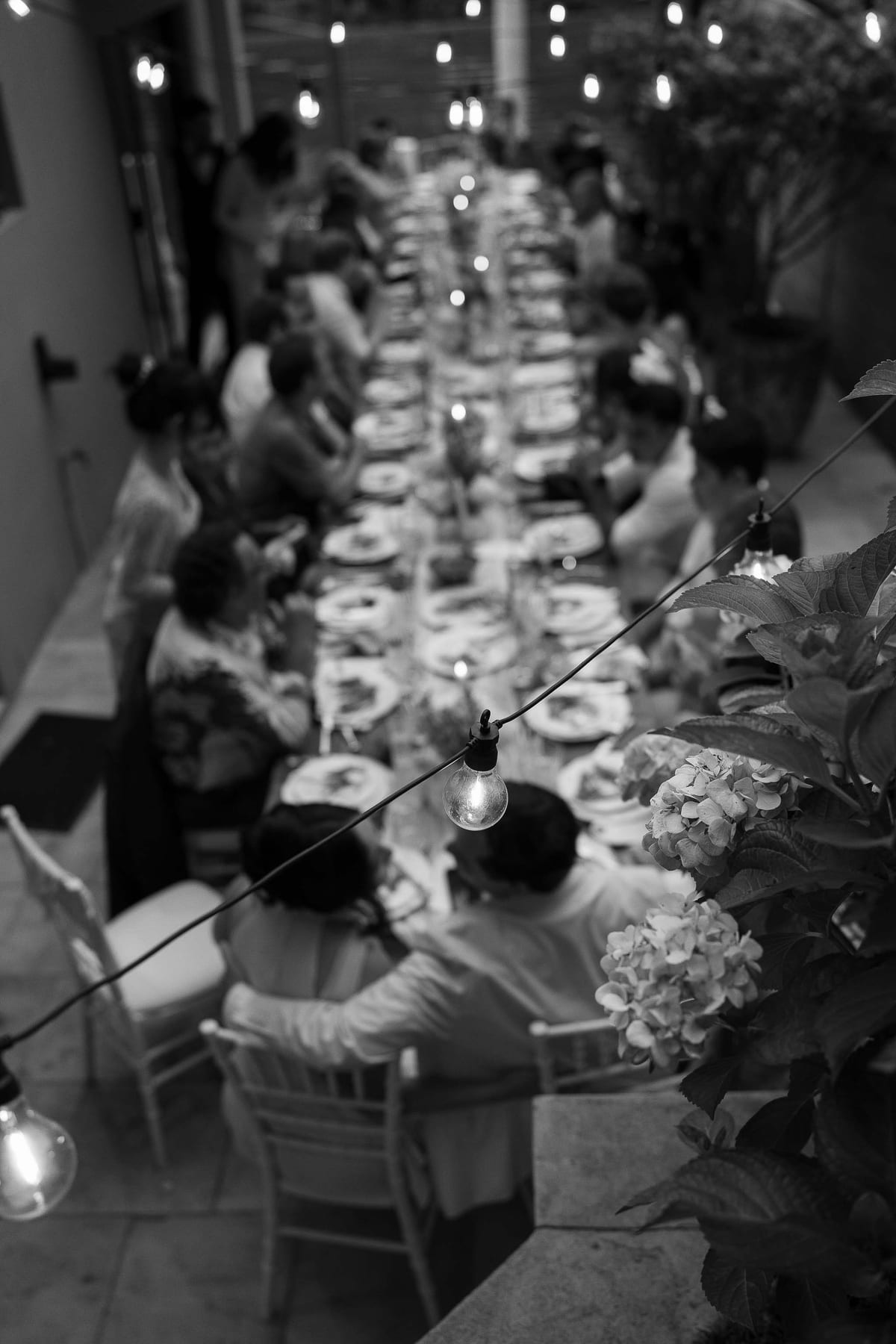 Joel and Maudy's Intimate Garden Wedding in North Sydney